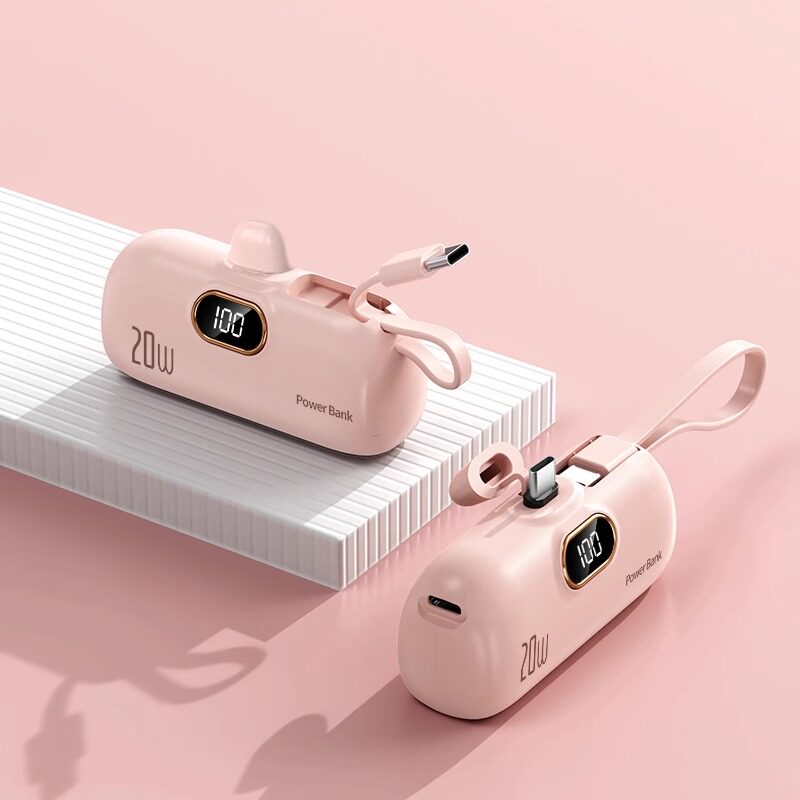 MicroVolt Capsule Powerbank